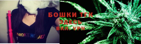 сатива Новокубанск